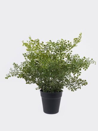 Artificial Table Plants 45*45*30cm Fern leaf in PP pot GS-48123010R 2026Apr 3,000+ sqm showroom with thousands of artificial flowers, plants & trees ready for global sourcing.