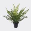 Artificial Table Plants Fern leaf in PP pot GS-48123010R_4 Artificial Table Plants 45*45*30cm Fern leaf in PP pot GS-48123010R 2026Apr YeahFlower is one of Chinese leading OEM manufacturers and exporters , supplying the silk flowers, wholesale artificial trees