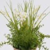 Artificial Table Plants 24*24*35cm  Flower in basket GS-82525003 2026May 3,000+ sqm showroom with thousands of artificial flowers, plants & trees ready for global sourcing.