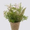 Artificial Table Plants Flower in basket GS-82525004_4 Artificial Table Plants 20*20*32 Flower in basket GS-82525004 2026May 3,000+ sqm showroom with thousands of artificial flowers, plants & trees ready for global sourcing.