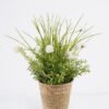 Artificial Table Plants Flower in basket GS-82525005_4 Artificial Table Plants 24*24*34cm Flower in basket GS-82525005 2026May 3,000+ sqm showroom with thousands of artificial flowers, plants & trees ready for global sourcing.