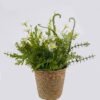Artificial Table Plants 34*34*31cm  Flower in basket GS-82525006 2026May 3,000+ sqm showroom with thousands of artificial flowers, plants & trees ready for global sourcing.