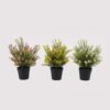 Artificial Table Plants 24*24*30cm Foeniculum vulgare in PP pot GS-59125001 2026Apr YeahFlower is one of Chinese leading OEM manufacturers and exporters , supplying the silk flowers, wholesale artificial trees