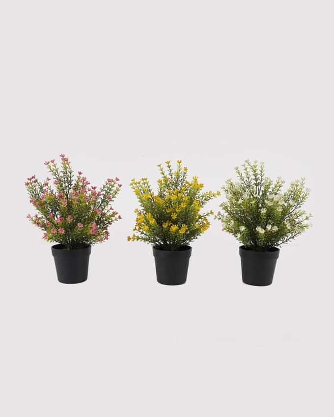 Artificial Table Plants 24*24*30cm Foeniculum vulgare in PP pot GS-59125001 2026Apr YeahFlower is one of Chinese leading OEM manufacturers and exporters , supplying the silk flowers, wholesale artificial trees