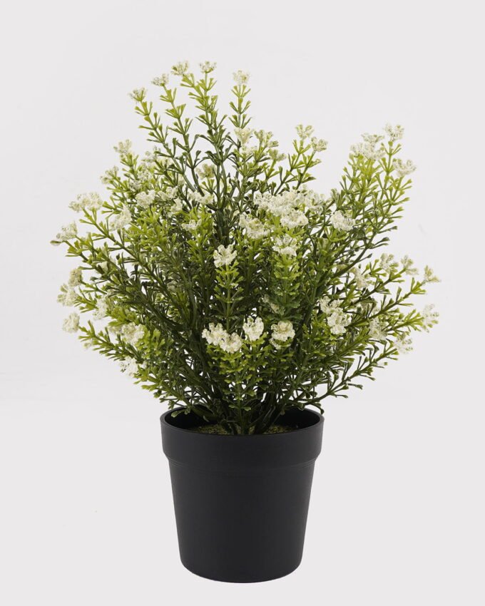 Artificial Table Plants 24*24*30cm Foeniculum vulgare in PP pot GS-59125001 2026Apr YeahFlower is one of Chinese leading OEM manufacturers and exporters , supplying the silk flowers, wholesale artificial trees