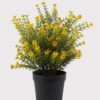 Artificial Table Plants 24*24*30cm Foeniculum vulgare in PP pot GS-59125001 2026Apr YeahFlower is one of Chinese leading OEM manufacturers and exporters , supplying the silk flowers, wholesale artificial trees