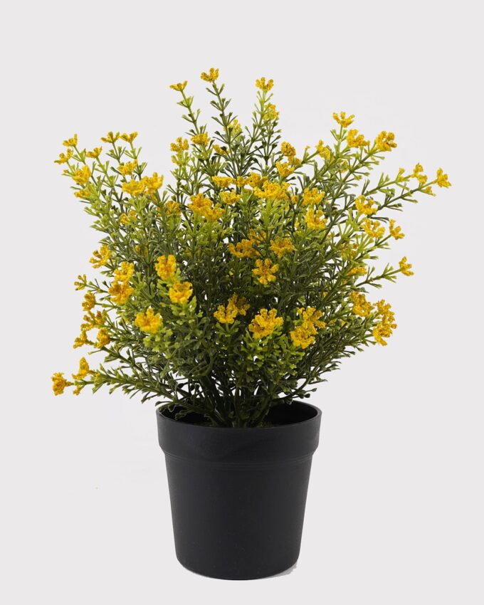Artificial Table Plants 24*24*30cm Foeniculum vulgare in PP pot GS-59125001 2026Apr YeahFlower is one of Chinese leading OEM manufacturers and exporters , supplying the silk flowers, wholesale artificial trees