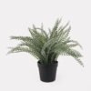 Artificial Table Plants 30*30*30cm Frond in PP pot GS-59125008 2026Apr YeahFlower is one of Chinese leading OEM manufacturers and exporters , supplying the silk flowers, wholesale artificial trees