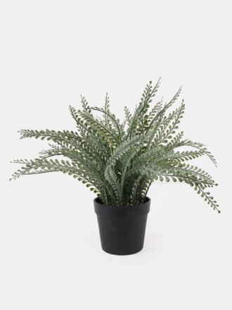 Artificial Table Plants 16*16*27cm Foeniculum vulgare in ceramic pot GS-59125009 2026Apr 3,000+ sqm showroom with thousands of artificial flowers, plants & trees ready for global sourcing.