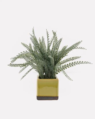 Artificial Table Plants 30*30*30cm Frond in ceramic pot GS-59125007 2026Apr YeahFlower is one of Chinese leading OEM manufacturers and exporters , supplying the silk flowers, wholesale artificial trees