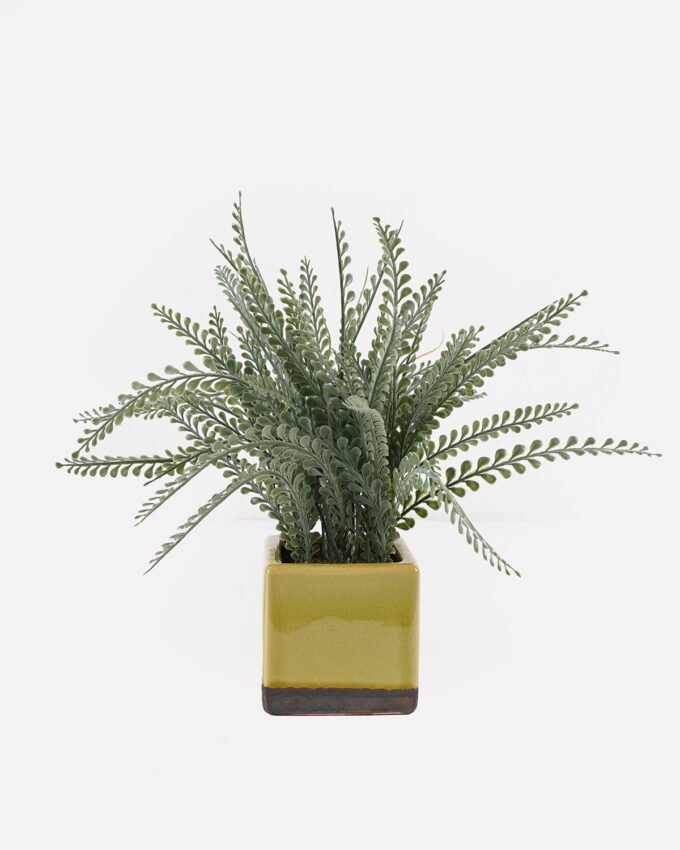 Artificial Table Plants 30*30*30cm Frond in ceramic pot GS-59125007 2026Apr YeahFlower is one of Chinese leading OEM manufacturers and exporters , supplying the silk flowers, wholesale artificial trees