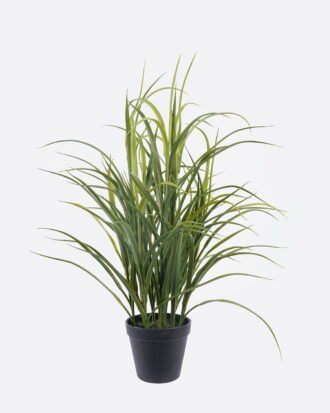 Artificial Table Plants 40*40*57cm Grass *9 in PP pot GS-02225039 2026Mar YeahFlower is one of Chinese leading OEM manufacturers and exporters , supplying the silk flowers, wholesale artificial trees Artificial Table Plants 40*40*57cm Grass *9 in PP pot GS-02225039 2026Mar YeahFlower is one of Chinese leading OEM manufacturers and exporters , supplying the silk flowers, wholesale artificial trees