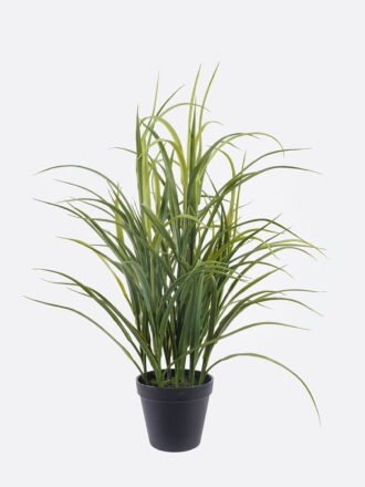 Artificial Table Plants 50*50*57cm Montera in PP pot GS-03325033-G4 2026Mar 3,000+ sqm showroom with thousands of artificial flowers, plants & trees ready for global sourcing.