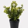 Artificial Table Plants 16*16*28cm Grass in PP pot GS-59125010 2026Apr YeahFlower is one of Chinese leading OEM manufacturers and exporters , supplying the silk flowers, wholesale artificial trees