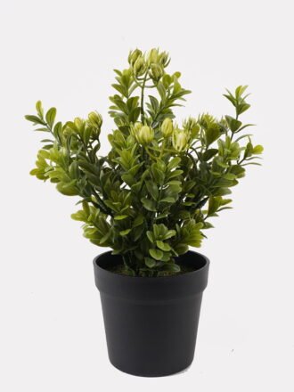Artificial Table Plants 16*16*28cm Grass in PP pot GS-59125011 2026Apr 3,000+ sqm showroom with thousands of artificial flowers, plants & trees ready for global sourcing.