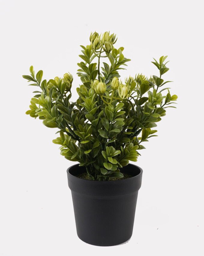 Artificial Table Plants 16*16*28cm Grass in PP pot GS-59125010 2026Apr YeahFlower is one of Chinese leading OEM manufacturers and exporters , supplying the silk flowers, wholesale artificial trees