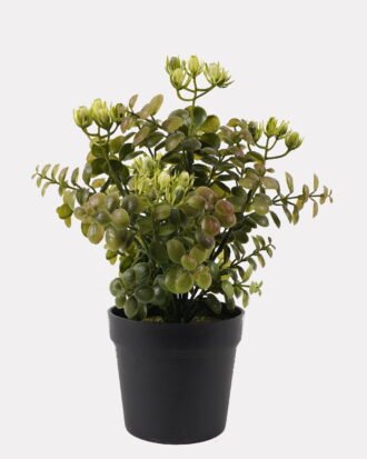 Artificial Table Plants 16*16*28cm Grass in PP pot GS-59125011 2026Apr YeahFlower is one of Chinese leading OEM manufacturers and exporters , supplying the silk flowers, wholesale artificial trees
