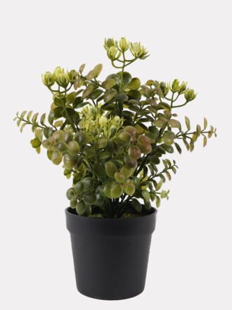 Artificial Table Plants 22*22*28cm Babysbreath in PP pot GS-59125012 2026Apr 3,000+ sqm showroom with thousands of artificial flowers, plants & trees ready for global sourcing.