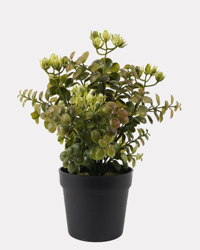 Artificial Table Plants 16*16*28cm Grass in PP pot GS-59125011 2026Apr YeahFlower is one of Chinese leading OEM manufacturers and exporters , supplying the silk flowers, wholesale artificial trees