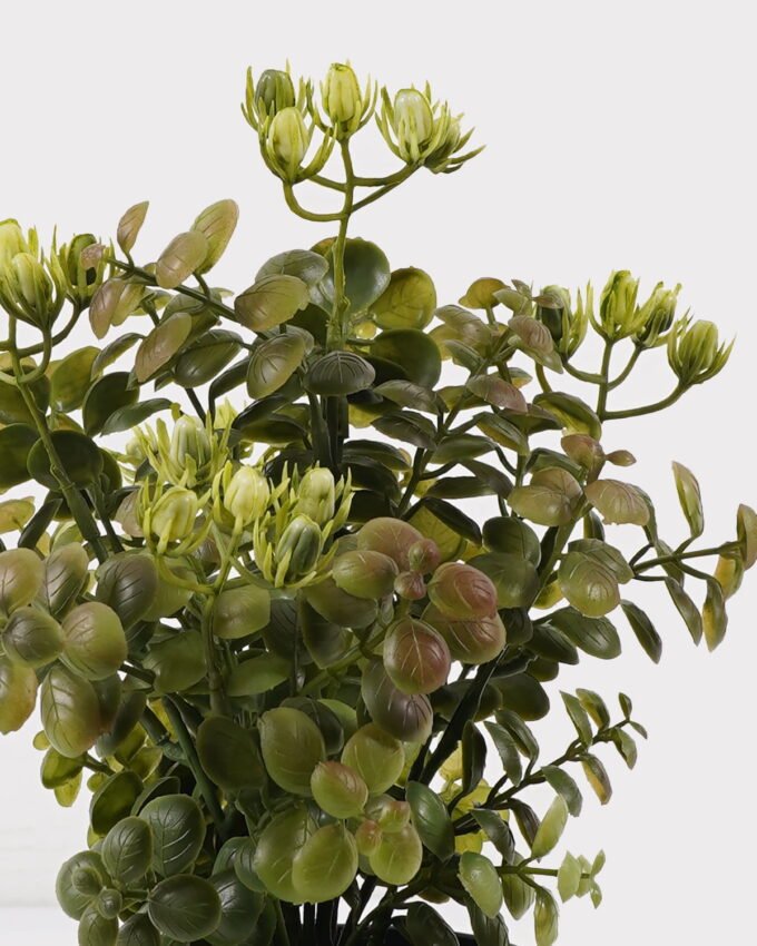 Artificial Table Plants 16*16*28cm Grass in PP pot GS-59125011 2026Apr YeahFlower is one of Chinese leading OEM manufacturers and exporters , supplying the silk flowers, wholesale artificial trees