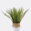 Artificial Table Plants Grass in basket GS-82525002_3 Artificial Table Plants 30*30*35cm Grass in basket GS-82525002 2026May 3,000+ sqm showroom with thousands of artificial flowers, plants & trees ready for global sourcing.