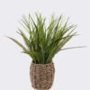 Artificial Table Plants Grass in basket GS-82525009_1 Artificial Table Plants 23*23*37cm Grass in basket GS-82525009 2026May 3,000+ sqm showroom with thousands of artificial flowers, plants & trees ready for global sourcing.