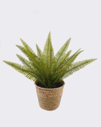 Artificial Table Plants 34*34*31cm Grass in basket GS-82525010 2026May 3,000+ sqm showroom with thousands of artificial flowers, plants & trees ready for global sourcing.