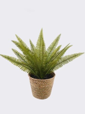 Artificial Table Plants 23*23*37cm Grass in basket GS-82525009 2026May 3,000+ sqm showroom with thousands of artificial flowers, plants & trees ready for global sourcing.