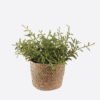 Artificial Table Plants 18*18*19cm   Grass in basket GS-82525011 2026May 3,000+ sqm showroom with thousands of artificial flowers, plants & trees ready for global sourcing.