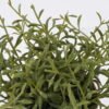 Artificial Table Plants 18*18*19cm   Grass in basket GS-82525011 2026May 3,000+ sqm showroom with thousands of artificial flowers, plants & trees ready for global sourcing.