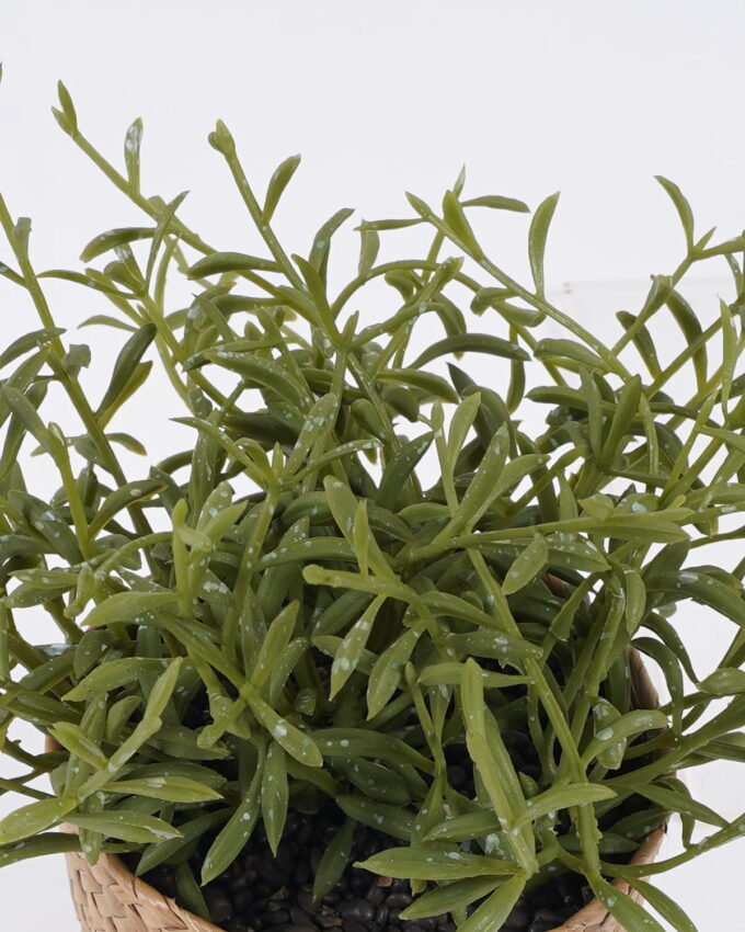 Artificial Table Plants 18*18*19cm   Grass in basket GS-82525011 2026May 3,000+ sqm showroom with thousands of artificial flowers, plants & trees ready for global sourcing.
