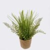 Artificial Table Plants Grass in basket GS-82525012_1 Artificial Table Plants 26*26*33cm Grass in basket GS-82525012 2026May 3,000+ sqm showroom with thousands of artificial flowers, plants & trees ready for global sourcing.