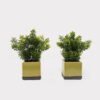 Artificial Table Plants 14*14*25cm Grass in ceramic pot GS-59125002 2026Apr YeahFlower is one of Chinese leading OEM manufacturers and exporters , supplying the silk flowers, wholesale artificial trees