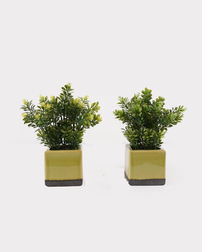 Artificial Table Plants 14*14*25cm Grass in ceramic pot GS-59125002 2026Apr YeahFlower is one of Chinese leading OEM manufacturers and exporters , supplying the silk flowers, wholesale artificial trees