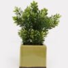 Artificial Table Plants 14*14*25cm Grass in ceramic pot GS-59125002 2026Apr YeahFlower is one of Chinese leading OEM manufacturers and exporters , supplying the silk flowers, wholesale artificial trees