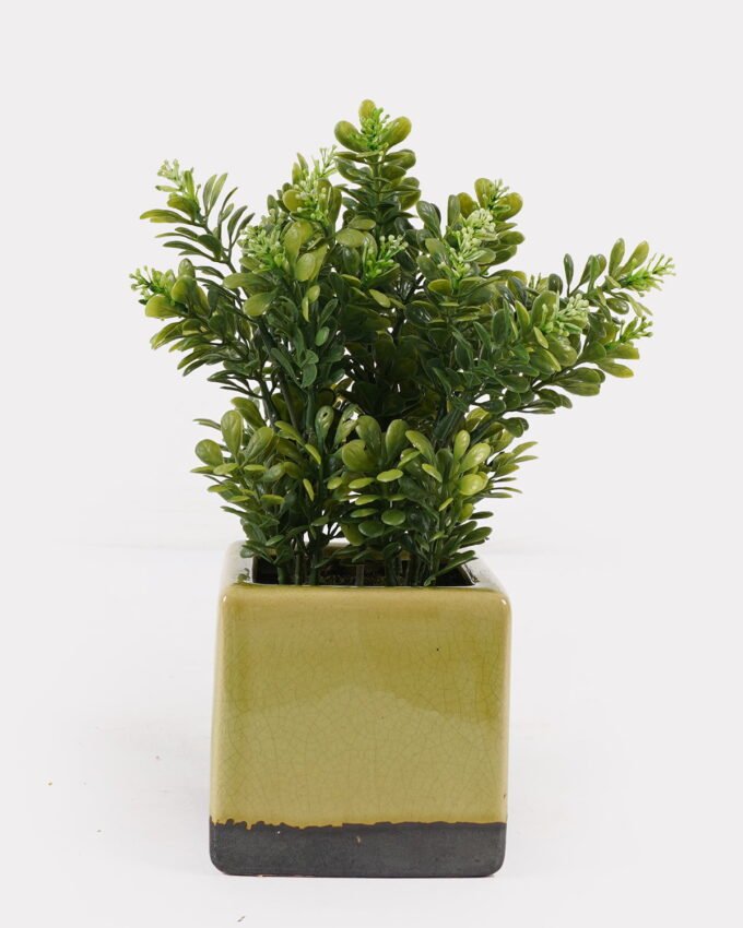 Artificial Table Plants 14*14*25cm Grass in ceramic pot GS-59125002 2026Apr YeahFlower is one of Chinese leading OEM manufacturers and exporters , supplying the silk flowers, wholesale artificial trees