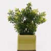 Artificial Table Plants 14*14*25cm Grass in ceramic pot GS-59125002 2026Apr YeahFlower is one of Chinese leading OEM manufacturers and exporters , supplying the silk flowers, wholesale artificial trees
