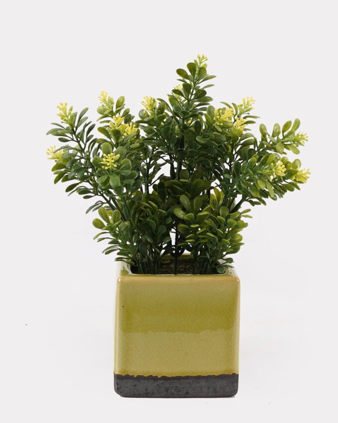 Artificial Table Plants 14*14*25cm Grass in ceramic pot GS-59125002 2026Apr YeahFlower is one of Chinese leading OEM manufacturers and exporters , supplying the silk flowers, wholesale artificial trees
