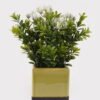 Artificial Table Plants 15*15*25cm Grass in ceramic pot GS-59125003 2026Apr YeahFlower is one of Chinese leading OEM manufacturers and exporters , supplying the silk flowers, wholesale artificial trees