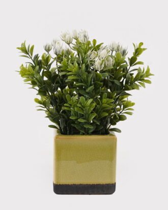 Artificial Table Plants 15*15*25cm Grass in ceramic pot GS-59125003 2026Apr YeahFlower is one of Chinese leading OEM manufacturers and exporters , supplying the silk flowers, wholesale artificial trees