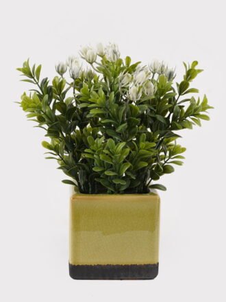 Artificial Table Plants 15*15*25cm Grass in ceramic pot GS-59125004 2026Apr 3,000+ sqm showroom with thousands of artificial flowers, plants & trees ready for global sourcing.