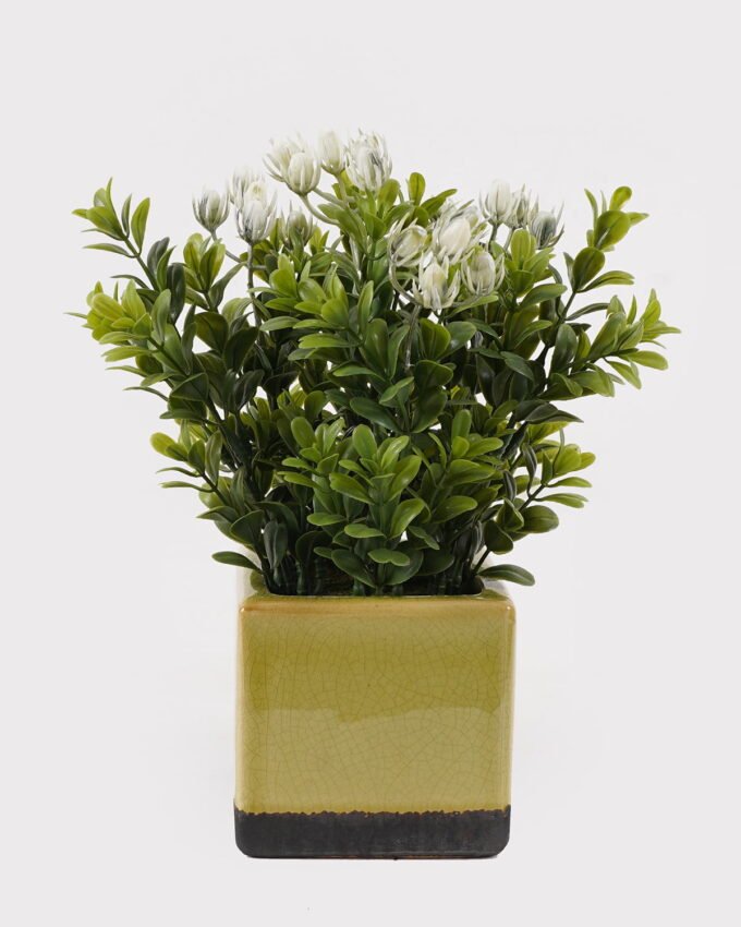Artificial Table Plants 15*15*25cm Grass in ceramic pot GS-59125003 2026Apr YeahFlower is one of Chinese leading OEM manufacturers and exporters , supplying the silk flowers, wholesale artificial trees