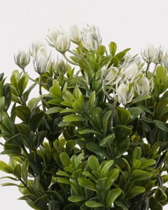 Artificial Table Plants 15*15*25cm Grass in ceramic pot GS-59125003 2026Apr YeahFlower is one of Chinese leading OEM manufacturers and exporters , supplying the silk flowers, wholesale artificial trees