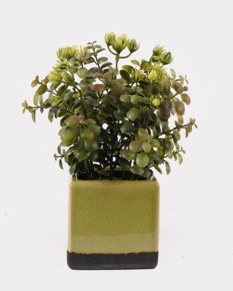 Artificial Table Plants 15*15*25cm Grass in ceramic pot GS-59125004 2026Apr YeahFlower is one of Chinese leading OEM manufacturers and exporters , supplying the silk flowers, wholesale artificial trees