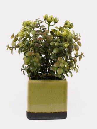 Artificial Table Plants 17*17*28cm Grass in ceramic pot GS-59125005 2026Apr 3,000+ sqm showroom with thousands of artificial flowers, plants & trees ready for global sourcing.