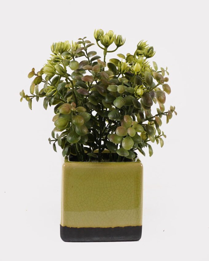 Artificial Table Plants 15*15*25cm Grass in ceramic pot GS-59125004 2026Apr YeahFlower is one of Chinese leading OEM manufacturers and exporters , supplying the silk flowers, wholesale artificial trees