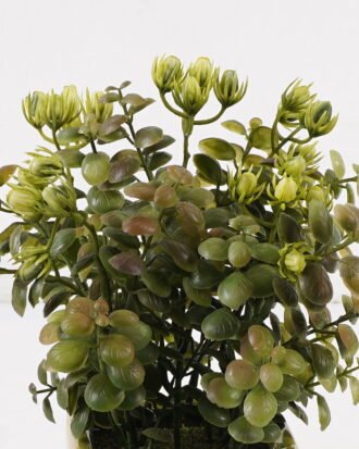 Artificial Table Plants 15*15*25cm Grass in ceramic pot GS-59125004 2026Apr YeahFlower is one of Chinese leading OEM manufacturers and exporters , supplying the silk flowers, wholesale artificial trees