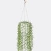 Artificial Table Plants Leaf Hanging in PP pot GS-82525014_3 Artificial Table Plants 18*18*37cm Leaf Hanging in PP pot GS-82525014 2026May 3,000+ sqm showroom with thousands of artificial flowers, plants & trees ready for global sourcing.
