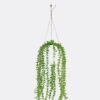 Artificial Table Plants Leaf Hanging in PP pot GS-82525016 Artificial Table Plants 20*20*36cm Leaf Hanging in PP pot GS-82525016 2026May 3,000+ sqm showroom with thousands of artificial flowers, plants & trees ready for global sourcing.