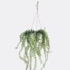 Artificial Table Plants 25*25*36cm Leaf Hanging in PP pot GS-82525017 2026May 3,000+ sqm showroom with thousands of artificial flowers, plants & trees ready for global sourcing.